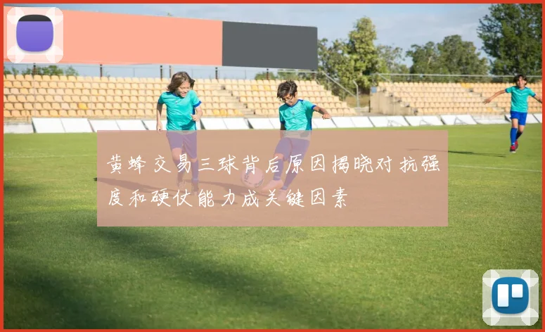 黄蜂交易三球背后原因揭晓对抗强度和硬仗能力成关键因素